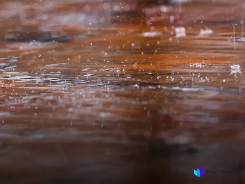 Eco-Friendly Furniture: Why Wood Is a Top Choice