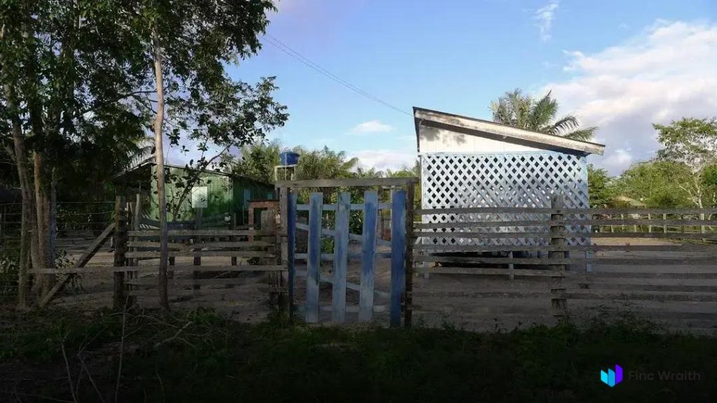 Exotic Woods Used in High-End Furniture: Discover Luxurious Craftsmanship