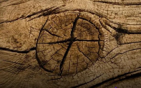 FSC-Certified Wood Furniture Explained: A Comprehensive Guide