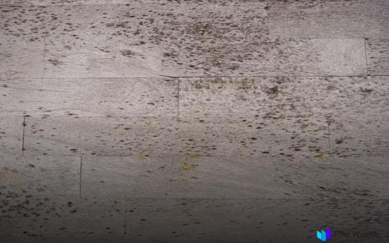 Modern Wooden Furniture Ideas for Chic and Cozy Homes